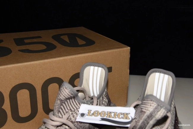 Adidas 350 FZ1267 Boost Zyon Yeezy V2 0822